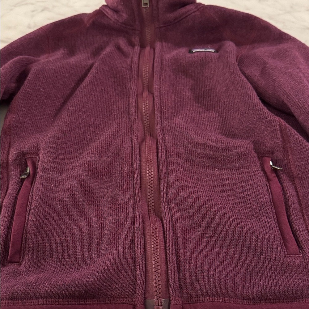 Patagonia | Kids' Plum Fleece Jacket (S) - Picture 4 of 6